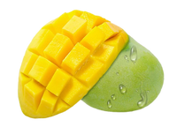 Organic Mango Fruit Concentrate Powder